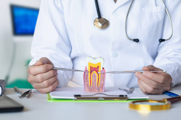 Best Dentist for Dental Trauma  in Shoreview, MN
